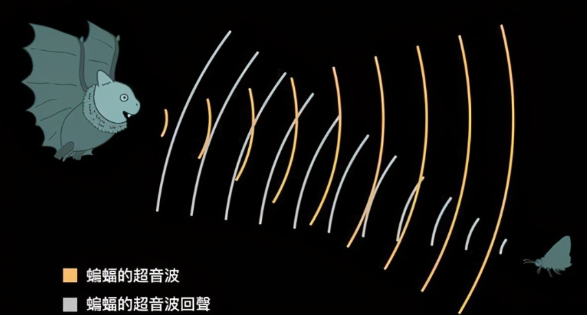 image-20220411104637837