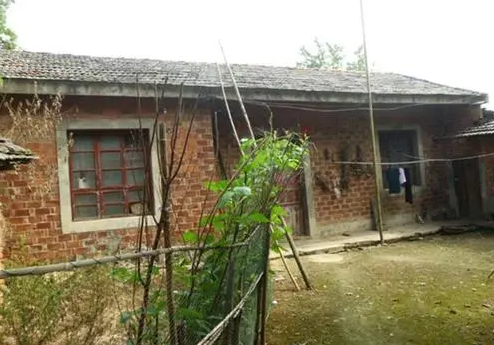 image-20210908230421411